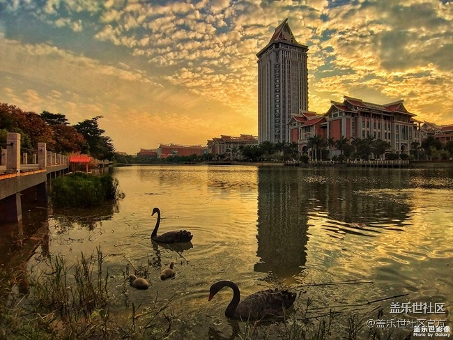 每周精帖匯【133期：春節(jié)模式開啟啦 祝大家小年快樂！】