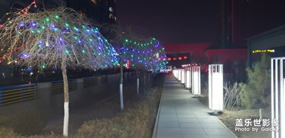 【春的暢想】迎春