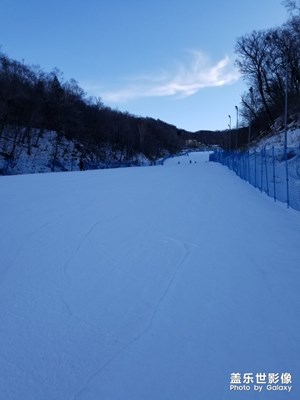 【春的暢想】+運動迎春