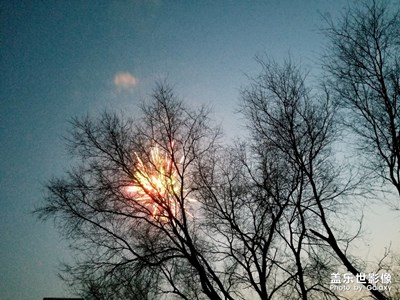 鄉(xiāng)村新年