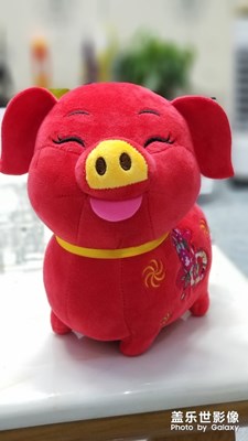 新年快樂(lè)，諸事大吉