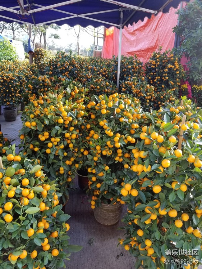 N8基友，新年快樂(lè)