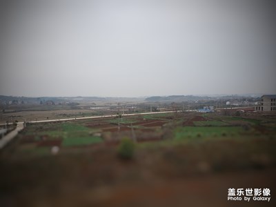 辭歲霧蒙蒙