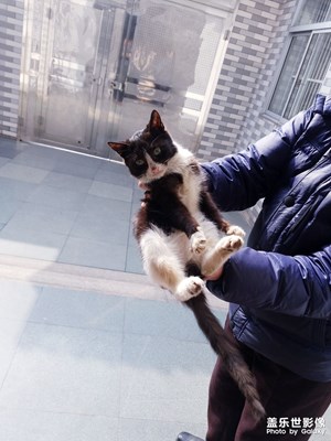 爺爺家的小貓咪??