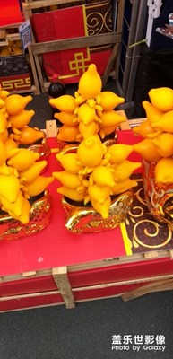 【春的暢想】+迎春花市