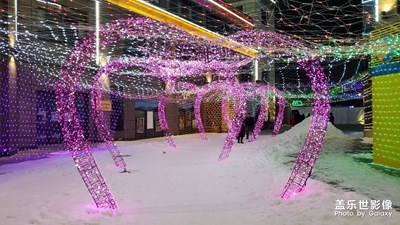 【這世界正美】+夜之美