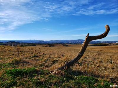【這世界正美】+馬鳴草山