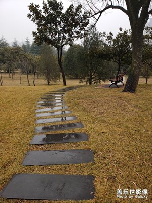 吃著滲淚的面包