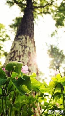 未來，你只需要比一個人過得更好，那就是你自己！