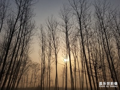 故鄉(xiāng)的原風(fēng)景