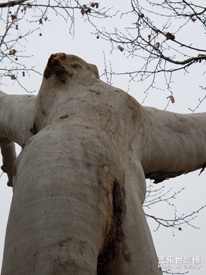 安靜就好，靜中動。