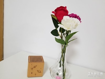 春，原來一直都在……