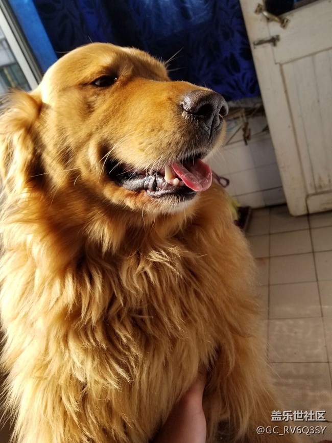 隨便他測不測，該來的都回來