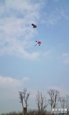 【這世界正美】+放飛春天看