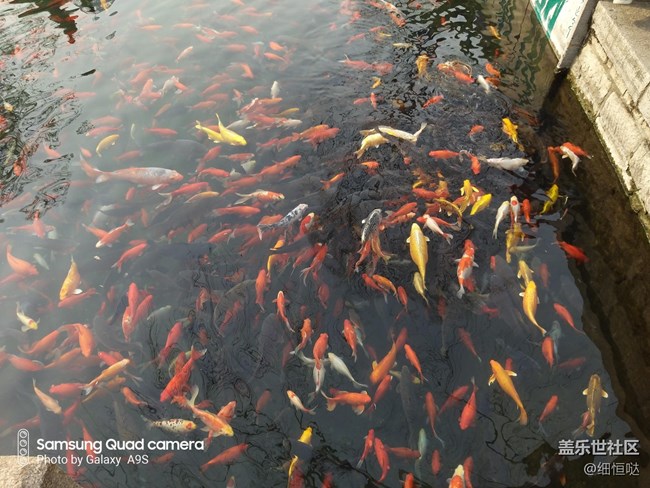 濟(jì)南星部落線上活動(dòng)【難忘的新春】 【讓我愛不釋手的機(jī)器】