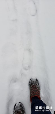 白*人節(jié)-我與社區(qū)一起走過