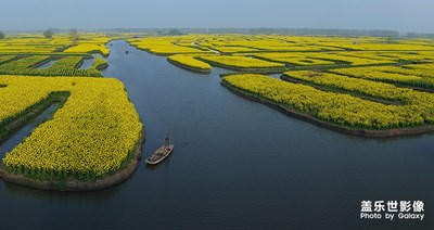 [這世界正美]——水鄉(xiāng)油菜花開