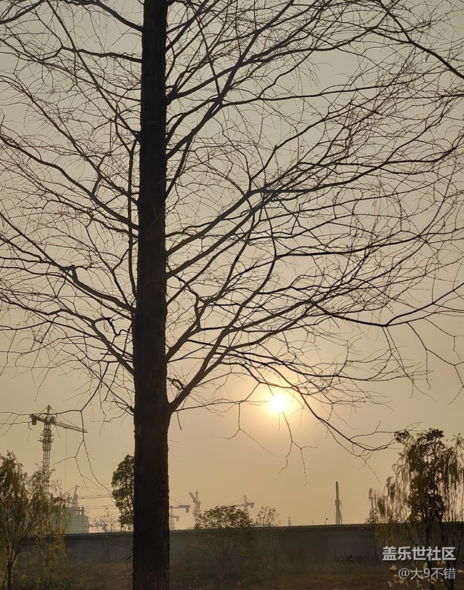 【曬出我的年味兒】過年隨便拍拍