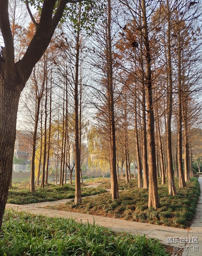 【曬出我的年味兒】過年路邊隨便拍拍