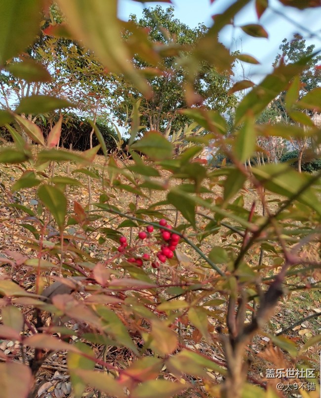 【曬出我的年味兒】過年路邊隨便拍拍