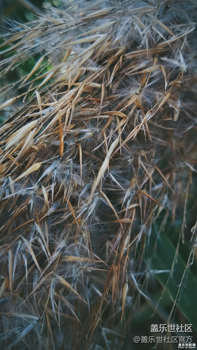 【每周精帖匯135期】Galaxy A8s獨角精靈版上市啦