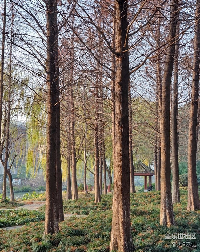 【曬出我的年味兒】過年路邊隨便拍拍