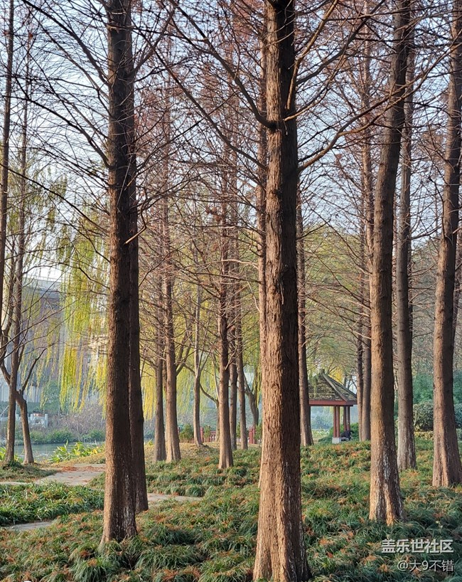 【曬出我的年味兒】過年隨便拍拍