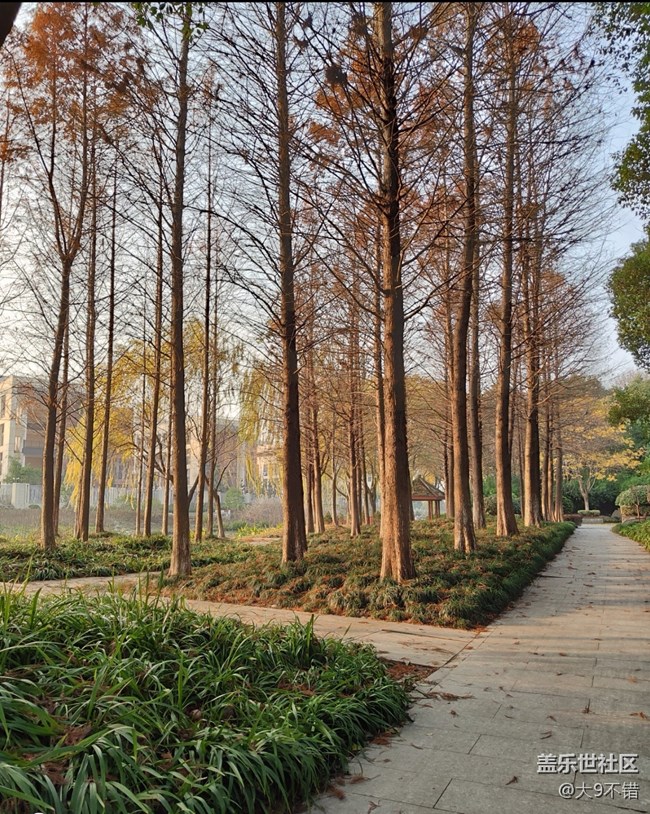 【曬出我的年味兒】過年路邊隨便拍拍