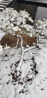 [這世界正美]——*雪景