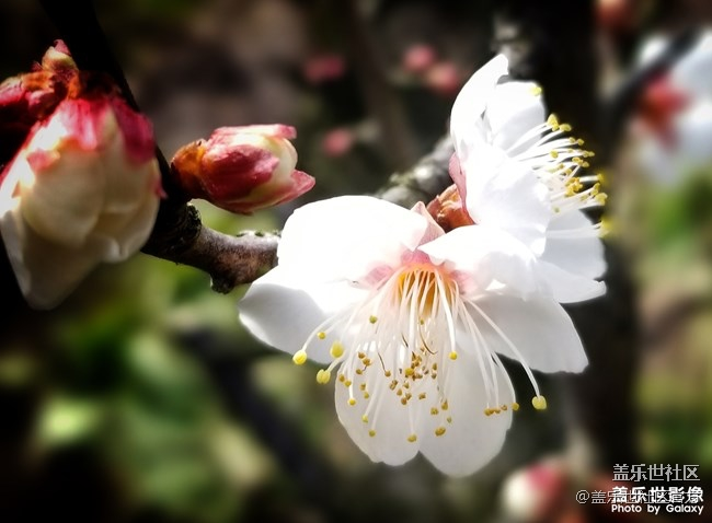 【每周精帖匯135期】Galaxy A8s獨角精靈版上市啦