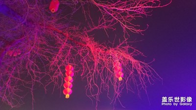 【正月十五】+鬧花燈，