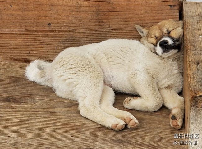 Note8 更新路任重而道遠(yuǎn)。