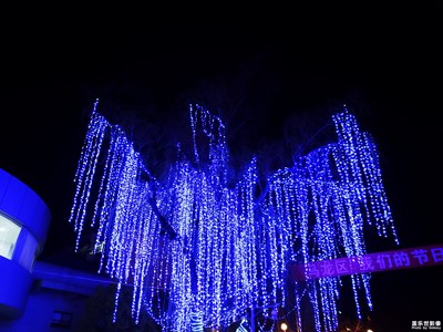 【正月十五】+鬧元宵·猜燈謎