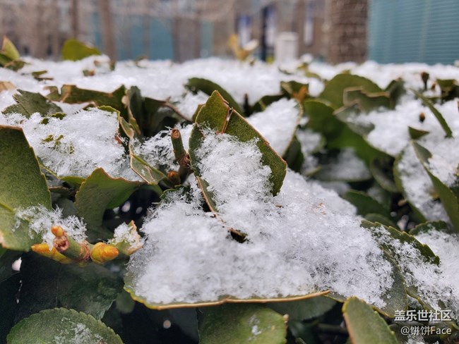 “十代”在召喚 三星Galaxy S10系列評測