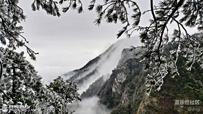 W2019  美廬（下）