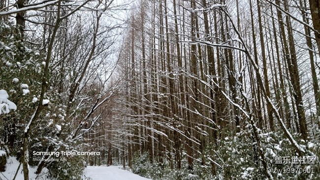 【A8s星粉體驗(yàn)團(tuán)】A8s！靚麗的外觀 搶眼的拍照