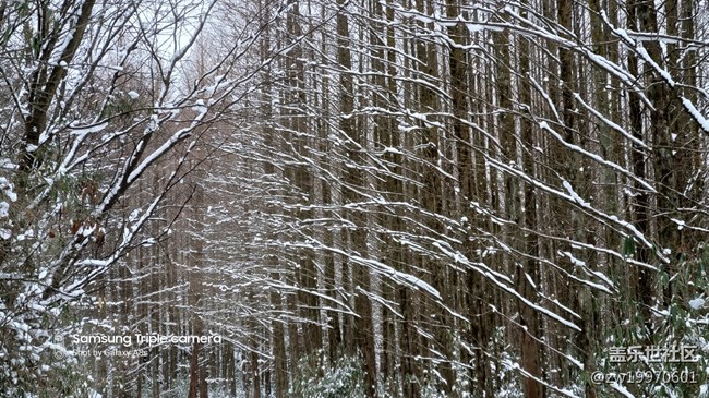 【A8s星粉體驗(yàn)團(tuán)】A8s！靚麗的外觀 搶眼的拍照