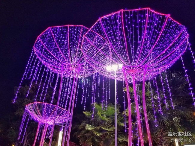 【我的上元夜】- 看花燈