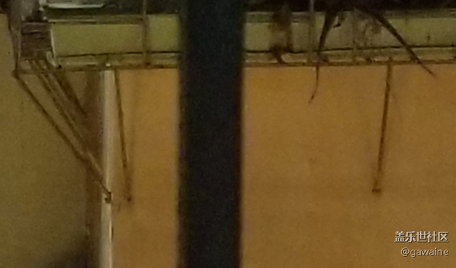 批評手上的s10+拍照！