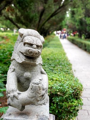 【愛(ài)上一座城】+小城泉州