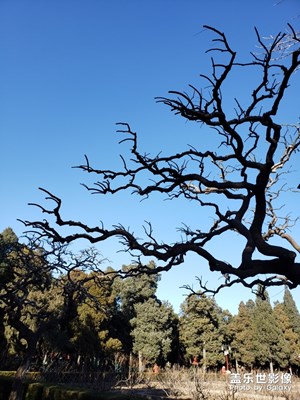 【愛上一座城】+北京