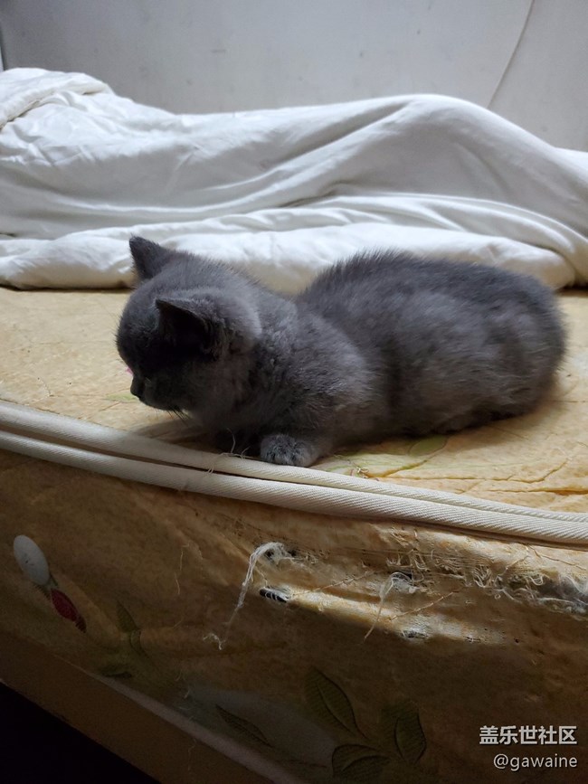 批評手上的s10+拍照！