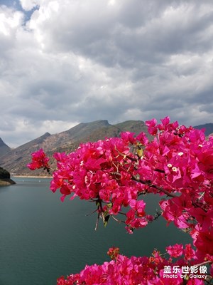 【愛上一座城】+陽光之城攀枝花