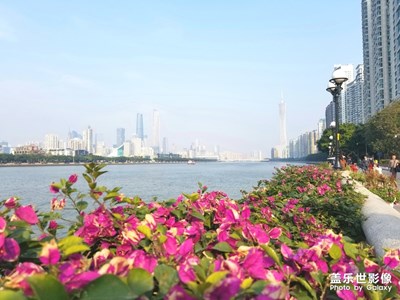 【愛上一座城】+羊城，來了就不想走