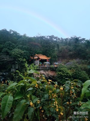 老機友分享用三星note8拍的照片