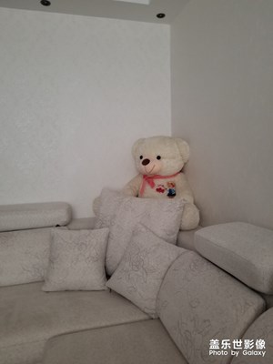 3月隨手拍家里的照片看看你
