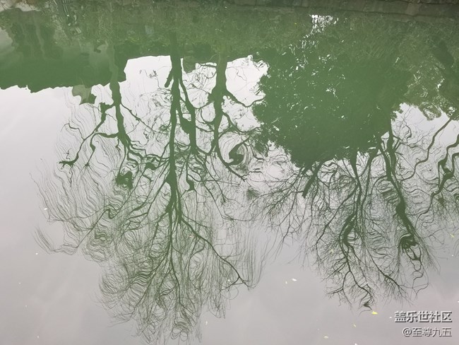 S10發(fā)布會(huì)之江南烏鎮(zhèn)——隨手拍節(jié)選