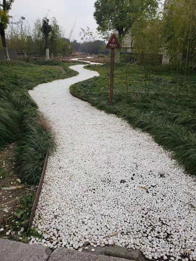 三星發(fā)布會和烏鎮(zhèn)西柵游2