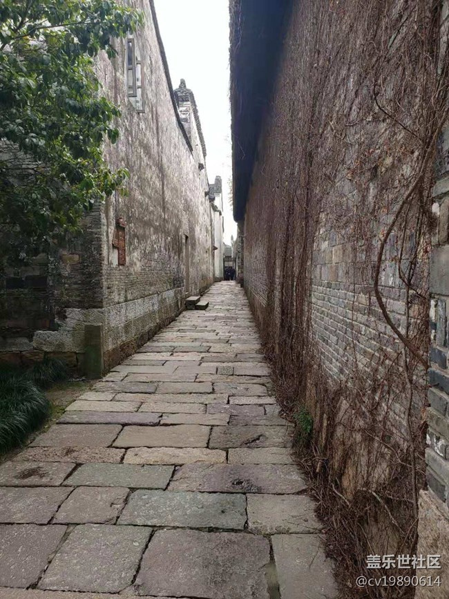 三星發(fā)布會和烏鎮(zhèn)西柵游2