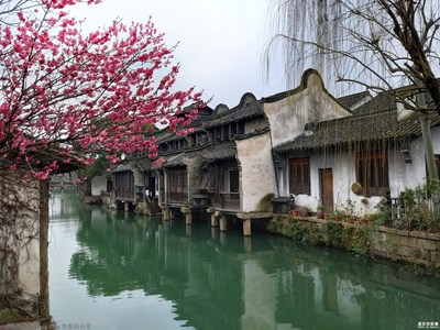 galaxyA9s【魅力烏鎮(zhèn)】+江南春來早